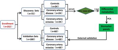 Metabolomic Characterization of Fatty Acids in Patients With Coronary Artery Ectasias